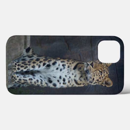 Coques Case-Mate iPhone 6 case (Verso (horizontal))