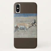 Coques Case-Mate iPhone A25 Pronghorn Antelope (Dos)