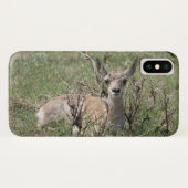 Coques Case-Mate iPhone A7 Baby Pronghorn Antelope (Dos (Horizontal))