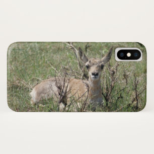 Case-Mate iPhone Case A7 Baby Pronghorn Antelope