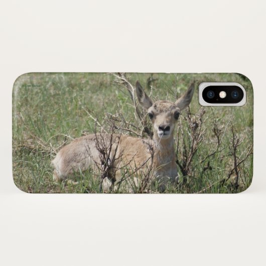 Coques Case-Mate iPhone A7 Baby Pronghorn Antelope (Dos (Horizontal))