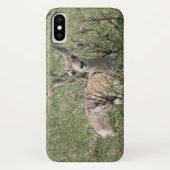 Coques Case-Mate iPhone A7 Baby Pronghorn Antelope (Dos)
