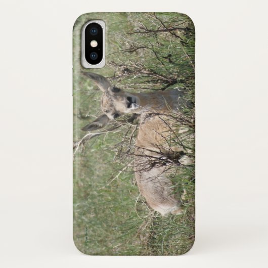Coques Case-Mate iPhone A7 Baby Pronghorn Antelope (Dos)
