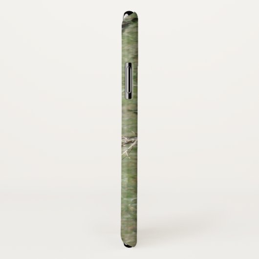 Coques Case-Mate iPhone A7 Baby Pronghorn Antelope (Dos/Droite)