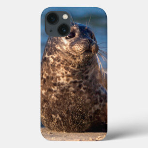 Etui iPhone Case-Mate A baby seal coming ashore in Children's Pool
