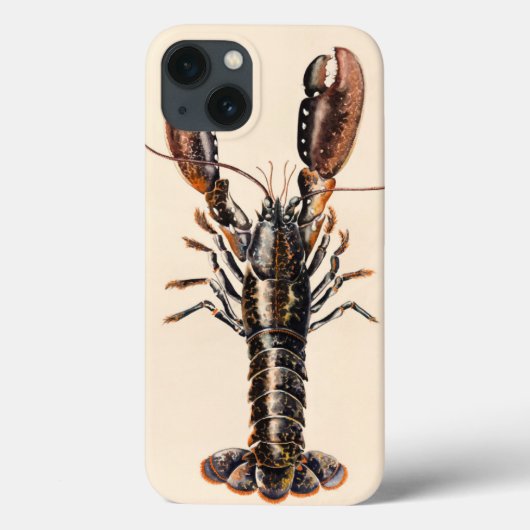 Coques Case-Mate iPhone A Lobster from Solva (Verso)