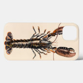 Coques Case-Mate iPhone A Lobster from Solva (Verso (horizontal))