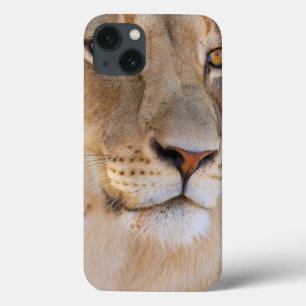 Coques Pour iPhone A portrait of a Lioness looking into the distance