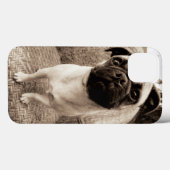 Coques Case-Mate iPhone A Pug with its Head Titled to the Side (Verso (horizontal))