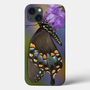 Case-Mate iPhone Case A Sulphur Butterfly