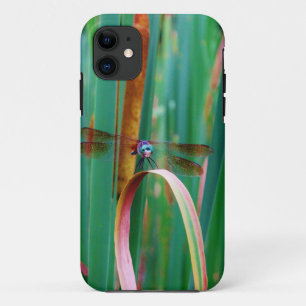 Case-Mate iPhone Case A teal Eyed Dragonfly with cattails