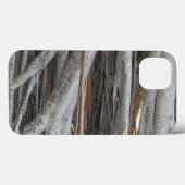 Coques Case-Mate iPhone À travers l'arbre banian (Verso (horizontal))