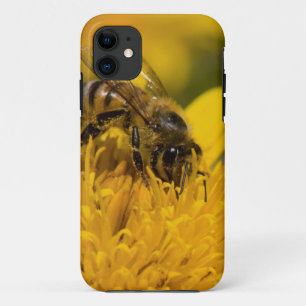Etui iPhone Case-Mate Abeille Africaine Avec Sacs De Pollen En Train De