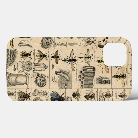 Coques Case-Mate iPhone Abeille Insecte Bug Wasp Nature Peinture des abeil (Verso (horizontal))
