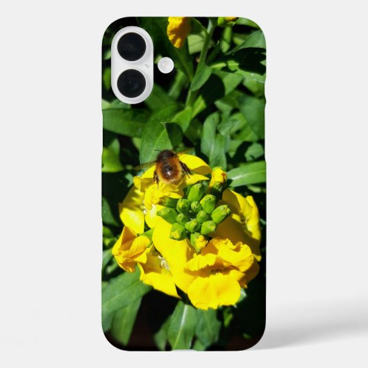 Coques Case-Mate iPhone Abeille sur Fleurs Jaunes (Verso)