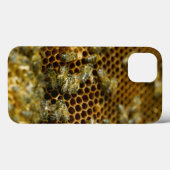 Coques Case-Mate iPhone Abeilles dans la ruche, le Cap-Occidental, Afrique (Verso (horizontal))
