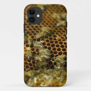 Etui iPhone Case-Mate Abeilles dans la ruche, Western Cape, Afrique du S