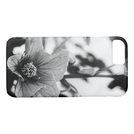 Coques Case-Mate iPhone Abutilon Pictum Flower Photographie noir et blanc (Dos (Horizontal))