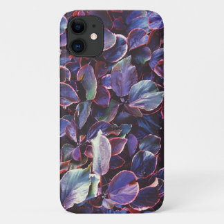 Case-Mate iPhone Case Acalypha Wilkesiana