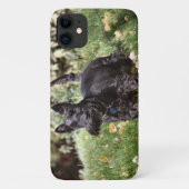 Coques Case-Mate iPhone Ach (Dos)