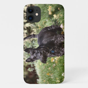 Case-Mate iPhone Case Ach