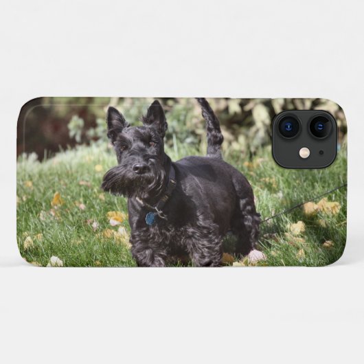 Coques Case-Mate iPhone Ach (Dos (Horizontal))