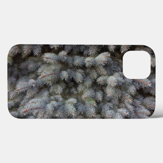 Coques Case-Mate iPhone Acier, gris, vert et bleu épicéa classe (Verso (horizontal))