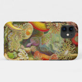 Coques Case-Mate iPhone Actinae Ocean Life d'Ernst Haeckel (Dos (Horizontal))
