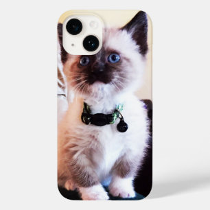 Coque Pour iPhone 14 Adorable bleu teint Masqué Kitten photo