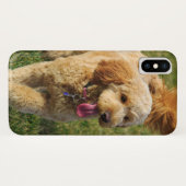 Coques Case-Mate iPhone Adorable chien doré (Dos (Horizontal))
