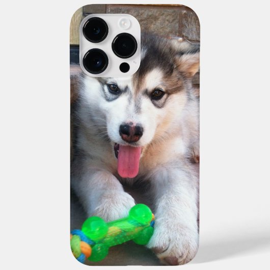 Coques Case-Mate iPhone Adorable Marionnette Alaskan Malamute photo (Verso)