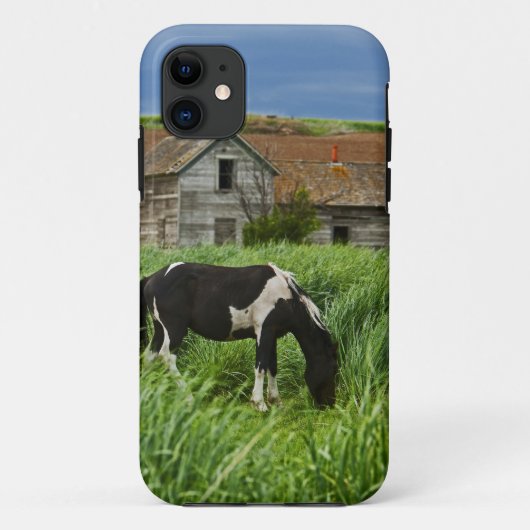 Coques Case-Mate iPhone Affichage des chevaux dans un champ de la Palouse (Dos)