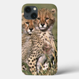 iPhone 13 Case Africa; Kenya; Masai Mara; Three cheetah cubs