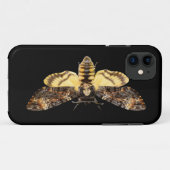 Coques Case-Mate iPhone african death head moth butterfly insect Acheronti (Dos (Horizontal))