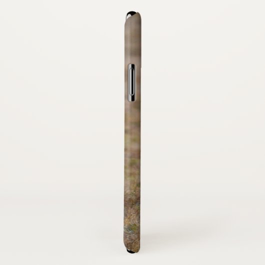 Coques Case-Mate iPhone African Lion (Dos/Droite)