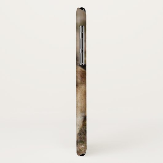 Coques Case-Mate iPhone African Lion (Dos/Gauche)