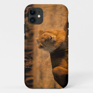 Etui iPhone Case-Mate Afrique, Botswana, Delta de l'Okavango. Lion (Pant