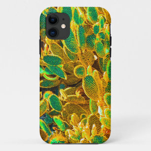 Case-Mate iPhone Case Afrique Désert Cactus Plantes Prickly Pear