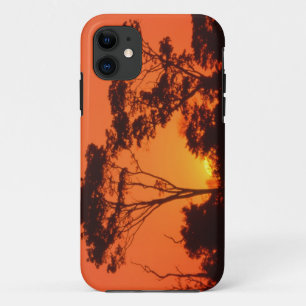 Coque Case-Mate Pour iPhone Afrique du Sud. Coucher de soleil africain.