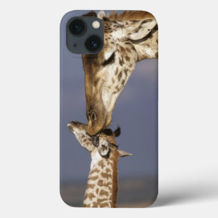 iPhone 13 Case Afrique, Kenya, Masai Mara. Girafes (Giraffa