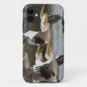 Case-Mate iPhone Case Afrique. Kenya. Pélicans blancs en vol au lac