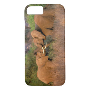 Coque Case-Mate Pour iPhone Afrique, Kenya, Samburu. Défi des éléphants