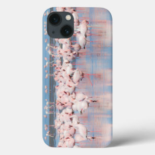 iPhone 13 Coque Afrique, Namibie, Walvis Bay