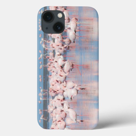Coques Case-Mate iPhone Afrique, Namibie, Walvis Bay (Verso)