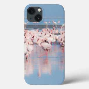 Case-Mate iPhone Case Afrique, Namibie, Walvis Bay