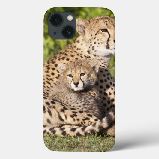 Coques Case-Mate iPhone Afrique. Tanzanie. Guépard mère et petits 2 (Verso)