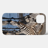 Coques Case-Mate iPhone Afrique. Tanzanie. Zèbres buvant à Ndutu (Verso (horizontal))