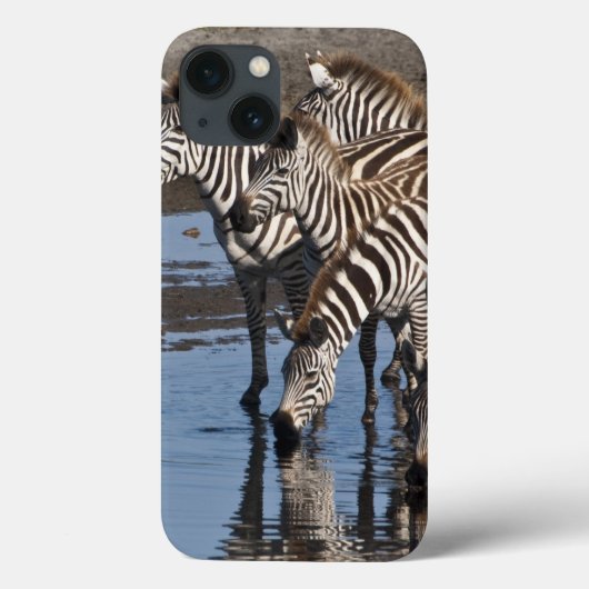 Coques Case-Mate iPhone Afrique. Tanzanie. Zèbres buvant à Ndutu (Verso)