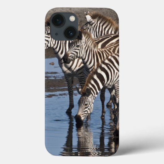 Coques Case-Mate iPhone Afrique. Tanzanie. Zèbres buvant à Ndutu (Verso)