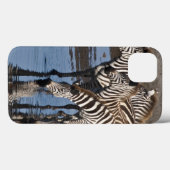 Coques Case-Mate iPhone Afrique. Tanzanie. Zèbres buvant à Ndutu (Verso (horizontal))